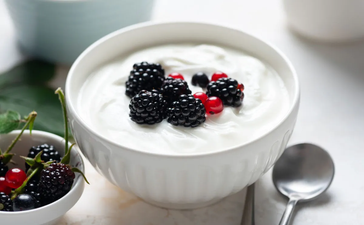 White bowl full of natural yoghurt with blackberries and redcurrants on top.