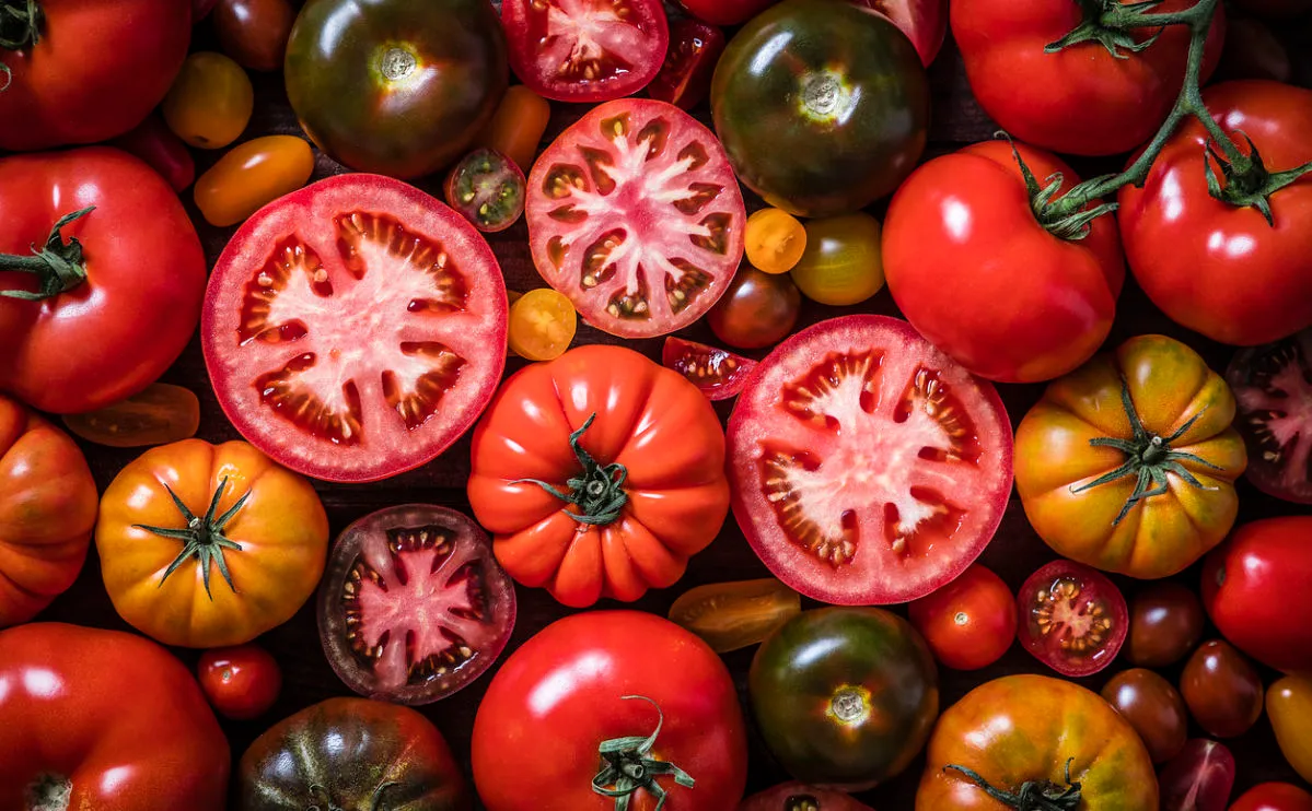 A variety of tomatoes, green, beef, cherry, some are cut in half and most are whole.