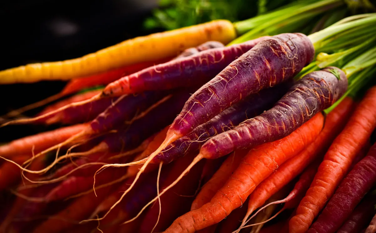 Purple, orange and yellow carrots.