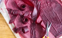 Fruit roll ups recipe
